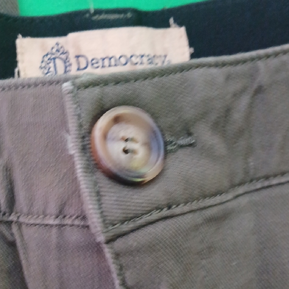 Democracy Pants - Picture 6 of 11